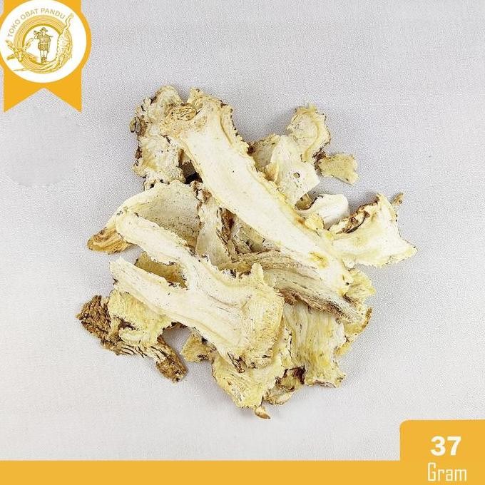 

DANG GUI TOU (37 gram) / TANG KUI / TANG KWEI / TANGKUI