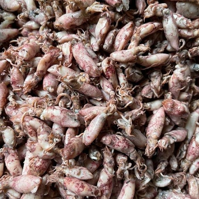 

Baby Cumi/ Cumi Asin Kecil