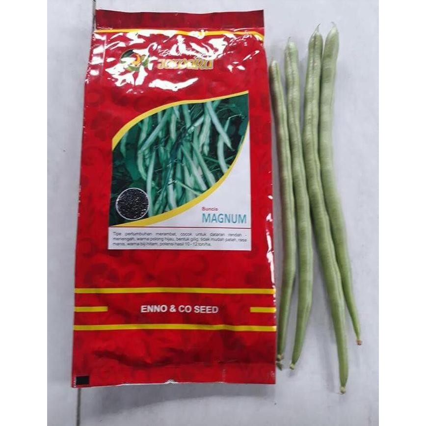 

New Item!, Benih Buncis Magnum 500 Gram - Bibit Buncis