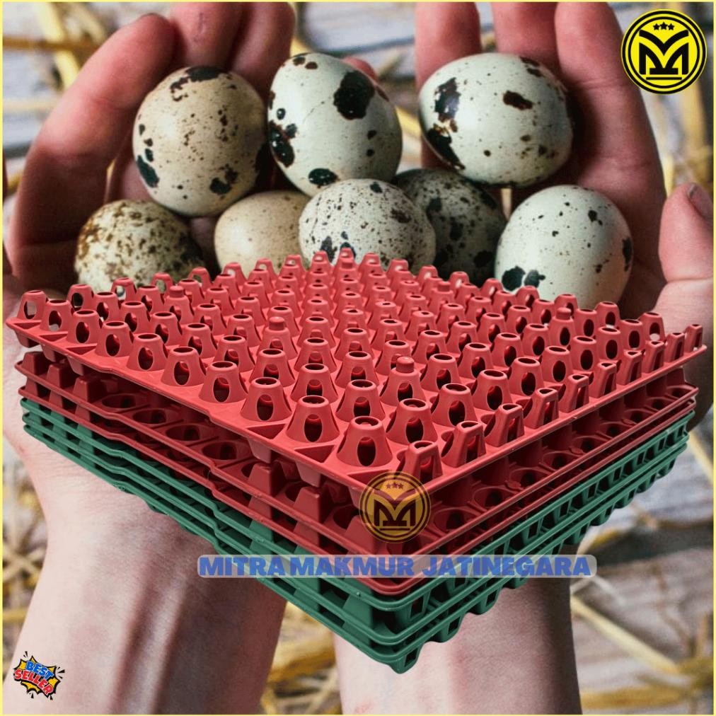 Krat Telur Puyuh Plastik Isi 90 Telur Tray Egg Puyuh Krat Plastik Telor Puyuh Egg Tray Trend