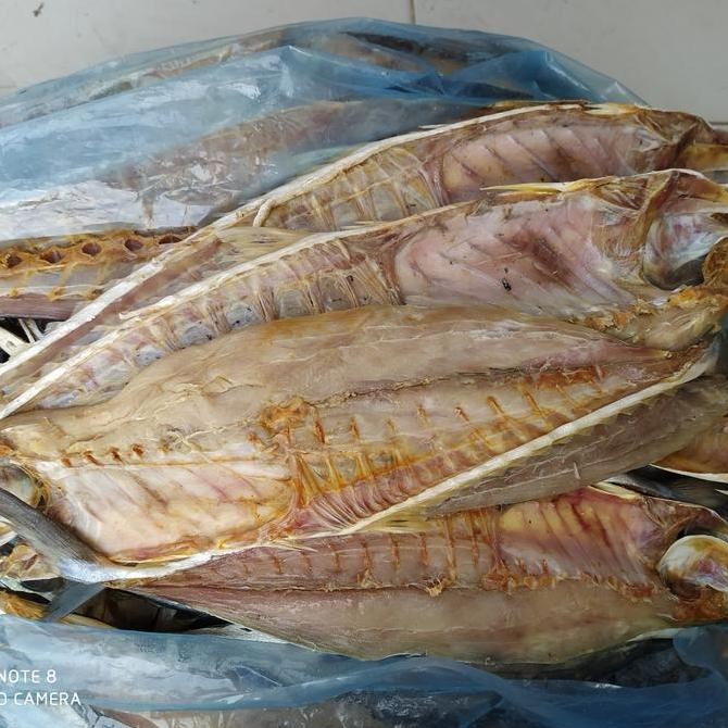 

Ikan Asin Baraccuda Segar Aceh 1kg peda