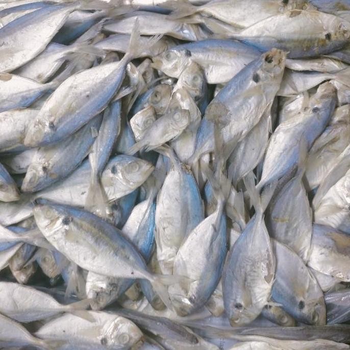 

ikan asin selar 1 kg