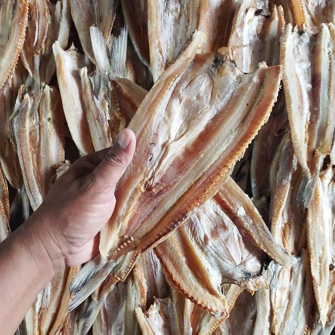 

Ikan asin bloso - ikan asin gabus laut - ikan asin k jenggelek Food