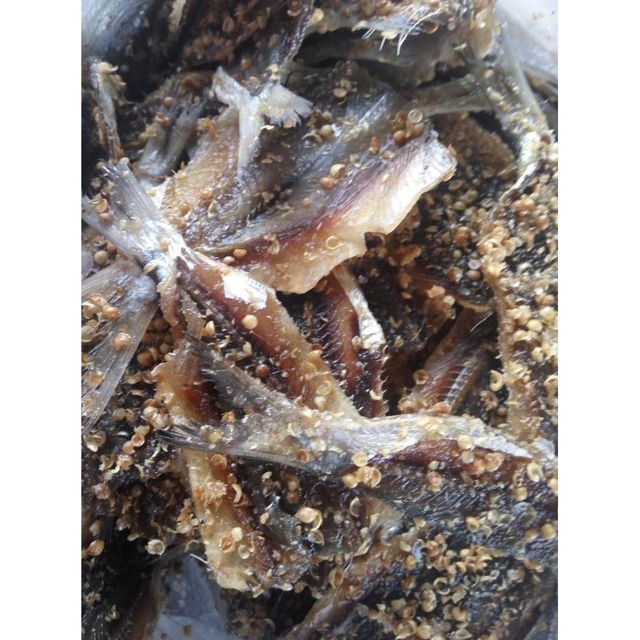 

dendeng ikan asin 1kg