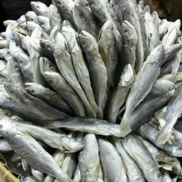 

Terlaris! Ikan Asin Samge Panjang Khas Medan gram