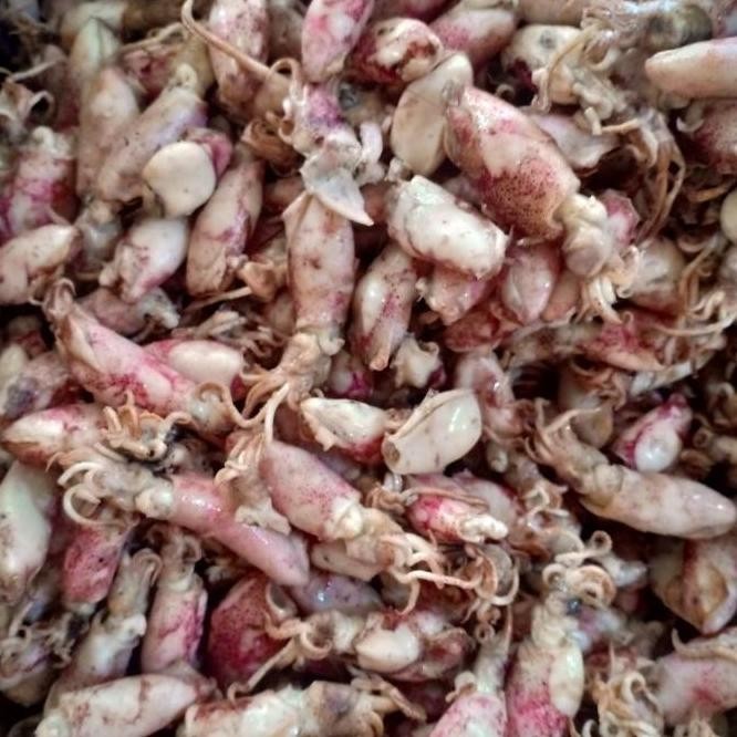 

ready ikan asin Baby cumi BK per 500gram