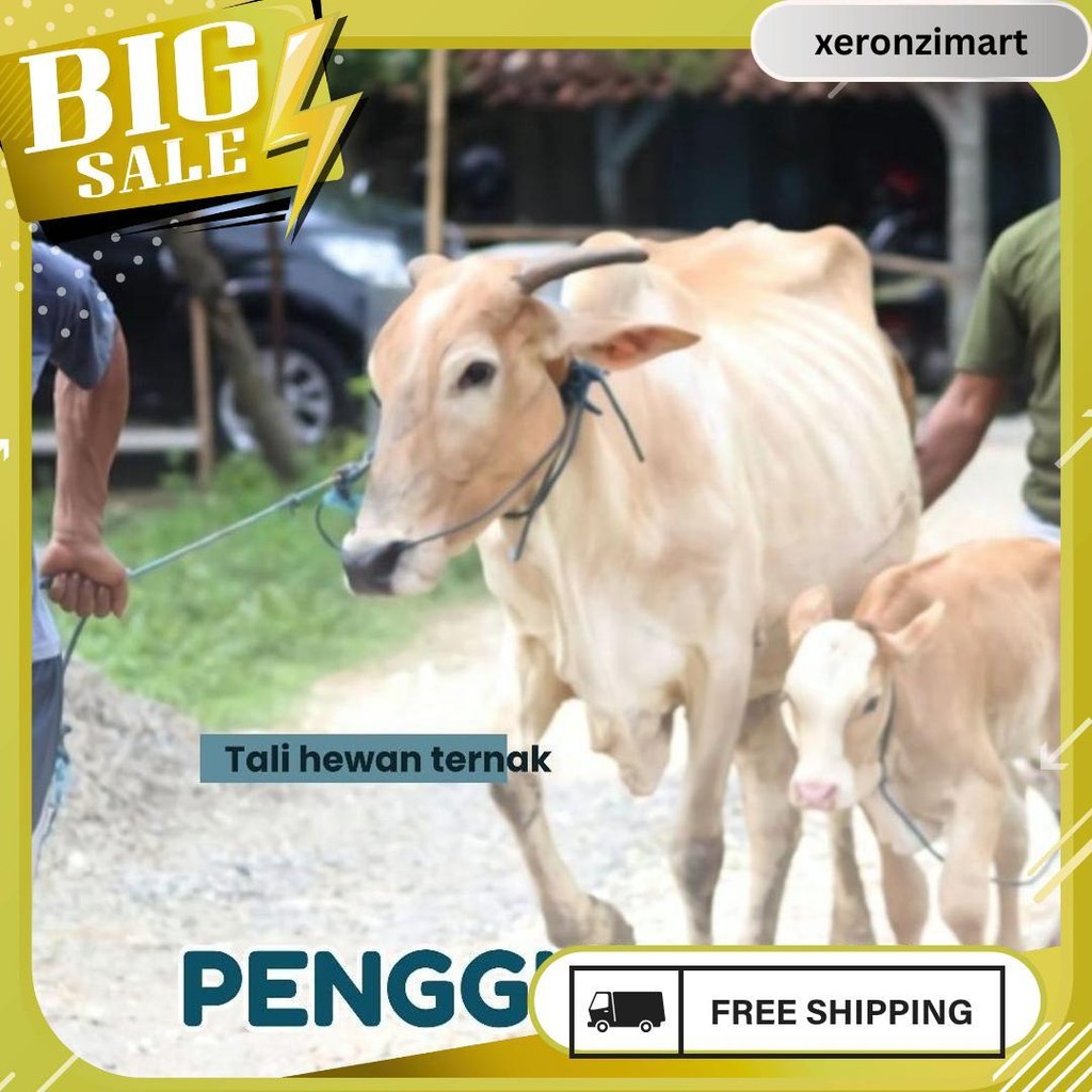 

Tali Tampar United Serbaguna Ukuran 1.5 Mm 1 Roll / Panjang 220 Meter Gratis Ongkir