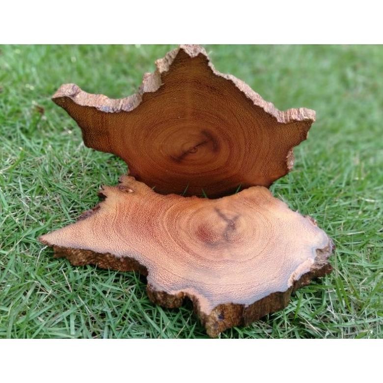 Potongan Kayu / Piece of Wood / Coaster Kayu / Wood Slice / Hiasan Kayu