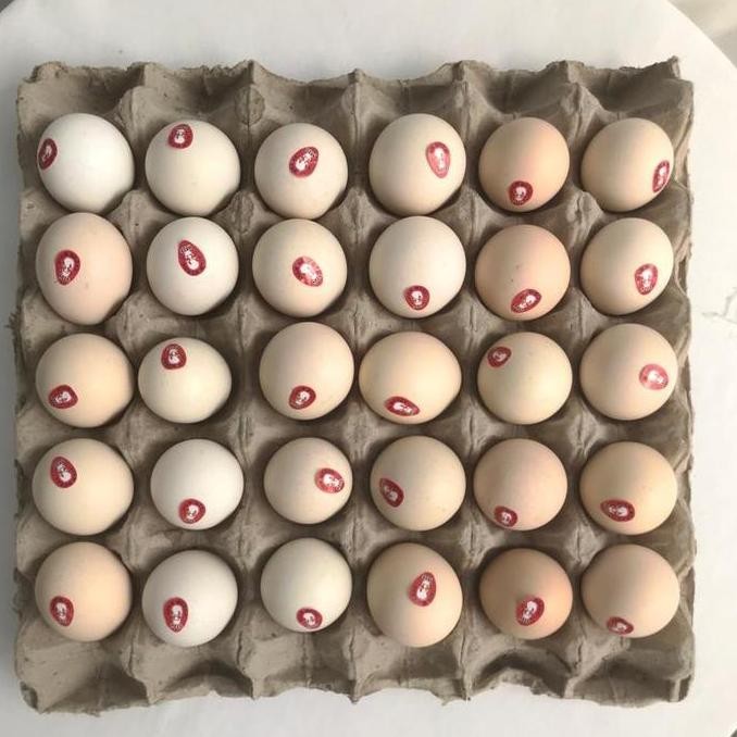 

Telur Ayam Kampung Omega paket isi 30 pcs (Harga lebih ekonomis)