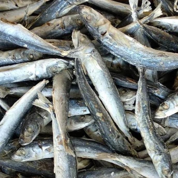 

Terlaris! Ikan Asin Rebusan 1 kg