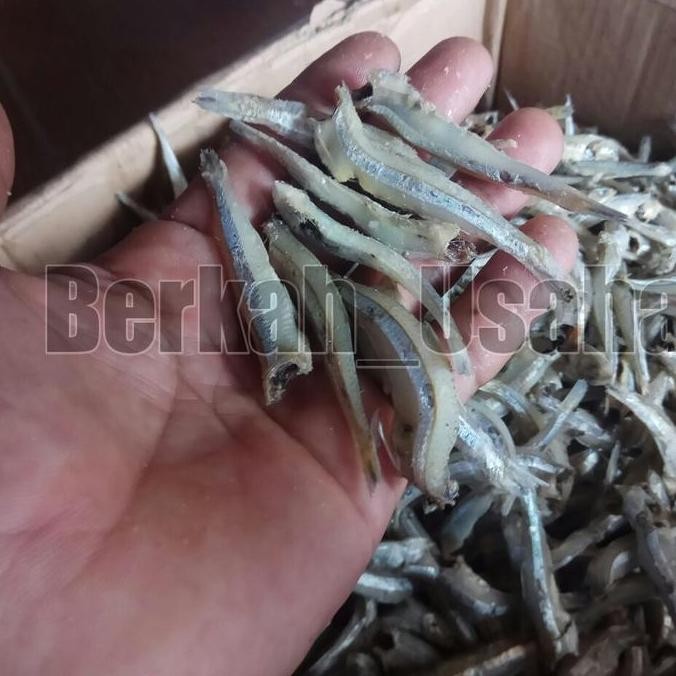 IKAN ASIN TERI JENGKI BULAT PUTIH REBUS KERING TANPA KEPALA 1kg