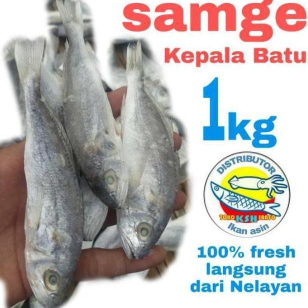 

ikan asin samgge kepala batu-1kg
