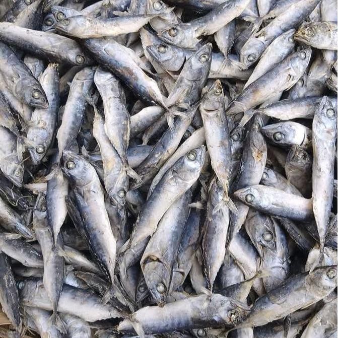 

Ikan Asin Rebus Tongkol 500 Gram ( Setengah Kilogram )