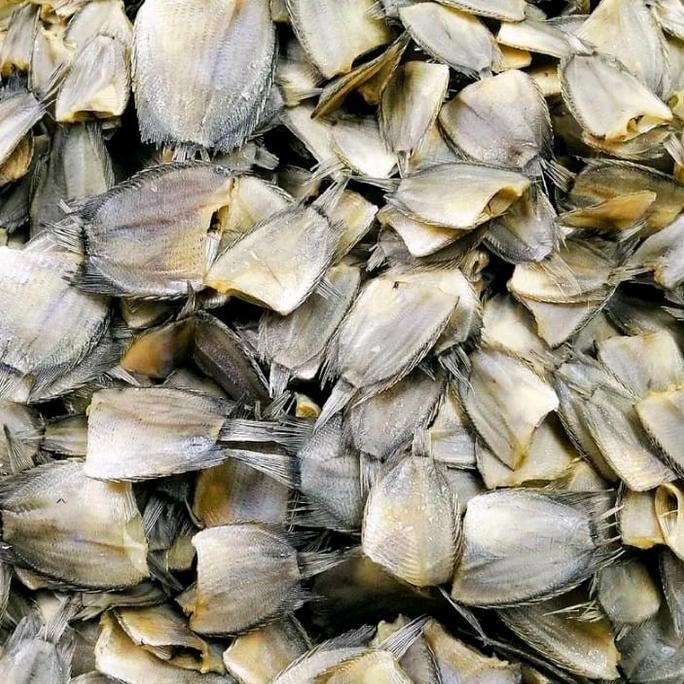 

Diskon 45% ikan sepat/ikan asin/ikan kering