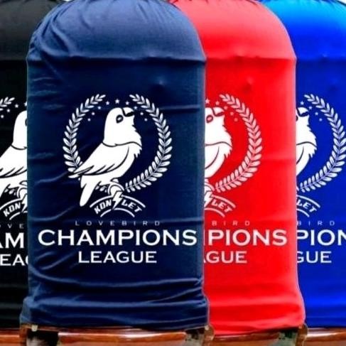 Krodong lovebird konslet aa duki kerodong LB DiM