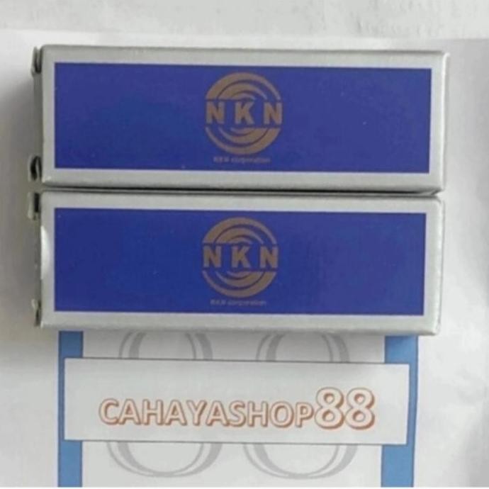 SN 520 Housing Bearing Merk NKN