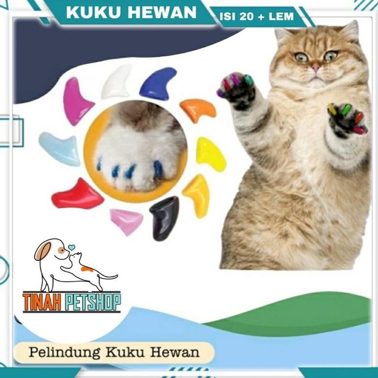 Kuku Kucing Bahan Plastik Isi 20 Lembut Warna-Warni Dengan Lem / Pelindung Kuku Kucing Tinah Petshop