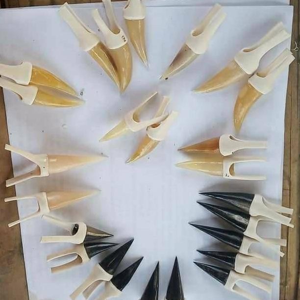 TAJI JALU AYAM JAGO UNTUK SAMBUNG DI KAKI AYAM ADUAN TARUNG - JALU SAMBUNG AYAM BANGKOK DiM