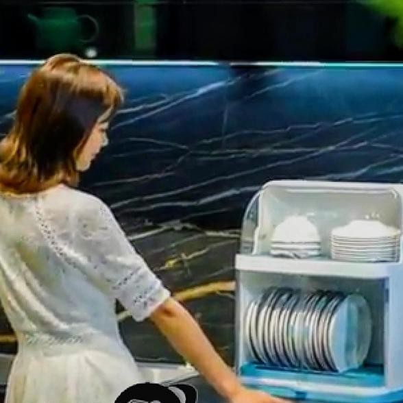 Rak Piring Plastik Dish Dryer Box Rak 2 Susun Tertutup Portable 6050