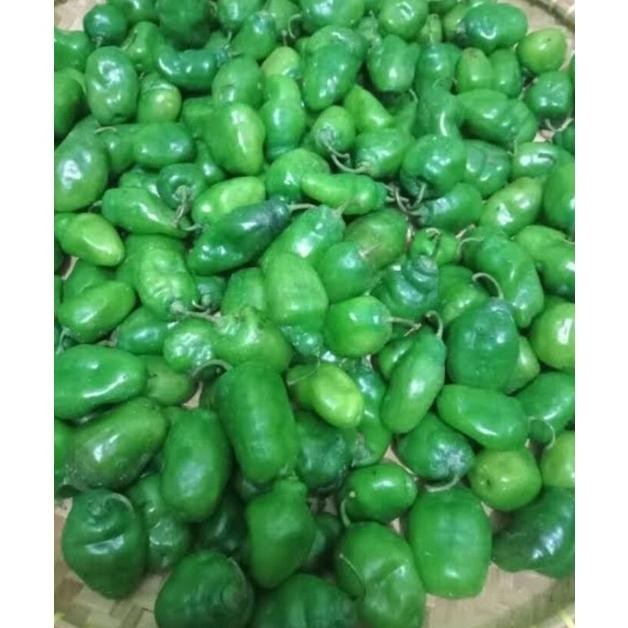 

Sempurna Cabe Gendot Bandung Segar Dan Super Pedas 1000Gr