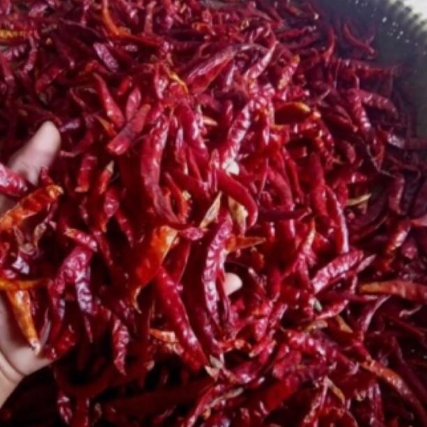 

Momen Spesial Cabe Rawit (Teja)1Kg/Petik(Tanpa Tangkai)Cabai Kering Rawit Asli Extra Pedas