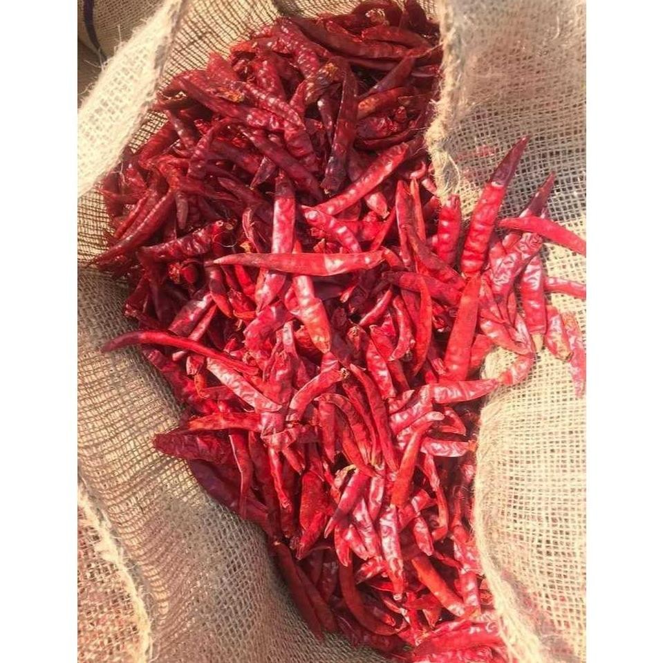 

Inspiratif Cabe Kering | Cabe Merah Besar Kering Tanpa Tangkai | Kemasan Vakum