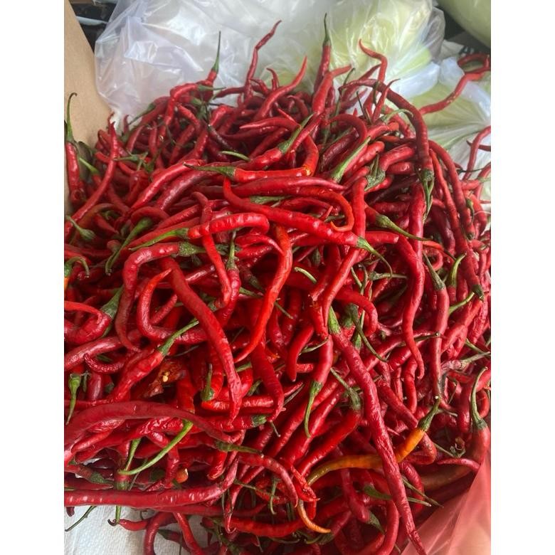 

Elegan Cabe Merah Kriting 1 Kg Murah Meriah