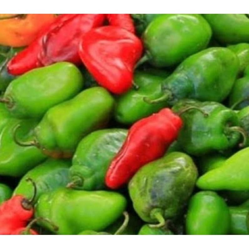 

Simplicity Cabe Gendot Segar 500Gr