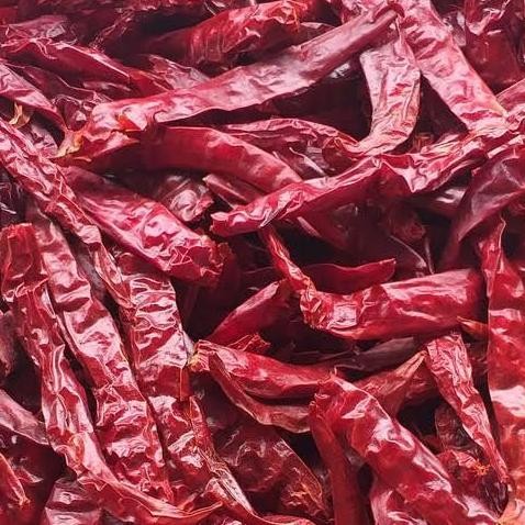 

Garansi Cabe Kering | Cabe Merah Besar Kering Tanpa Tangkai | Kemasan Vakum