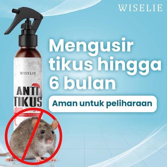 Parling Laris Wiselie - Semprotan Pengusir Tikus Alami Obat Pengusir Anti Tikus