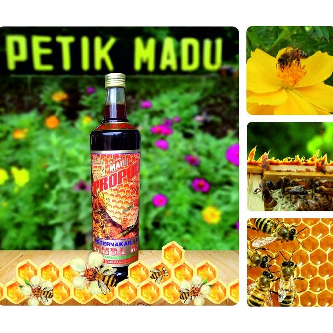 

TERMURAH MADU PROPOLIS 600ML - HERBAL ALERGI, BATUK DAN DAYA TAHAN TUBUH