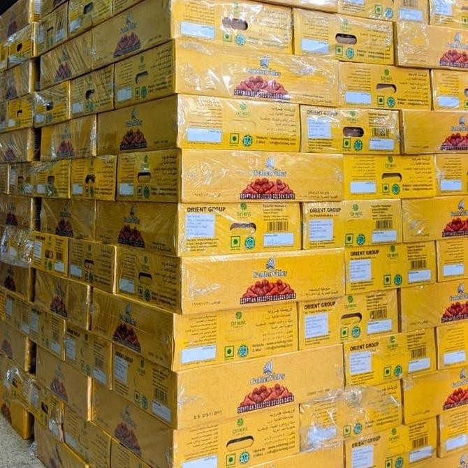 

TERMURAH KURMA MESIR GOLDEN VALLEY 10KG KURMA MADU SUPER PREMIUM