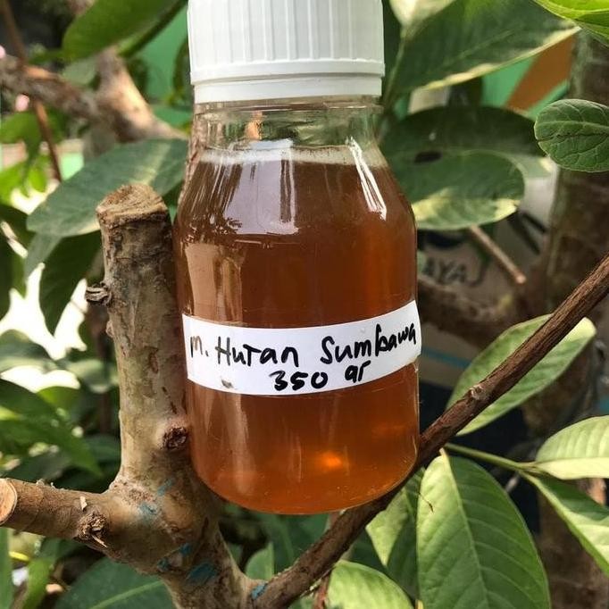 

TERMURAH MADU HUTAN SUMBAWA 350GR MADU ASLI LIAR APIS DORSATA NEKTAR KALIANDRA