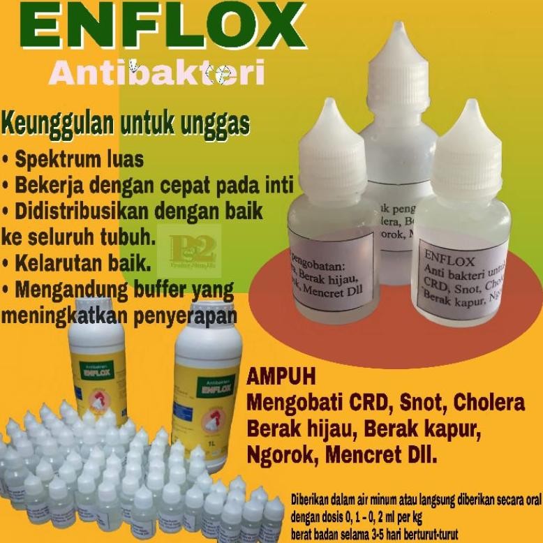 NEWW ENFLOX OBAT AYAM SNOT CRD NGOROK MENAHUN OBAT TETELO