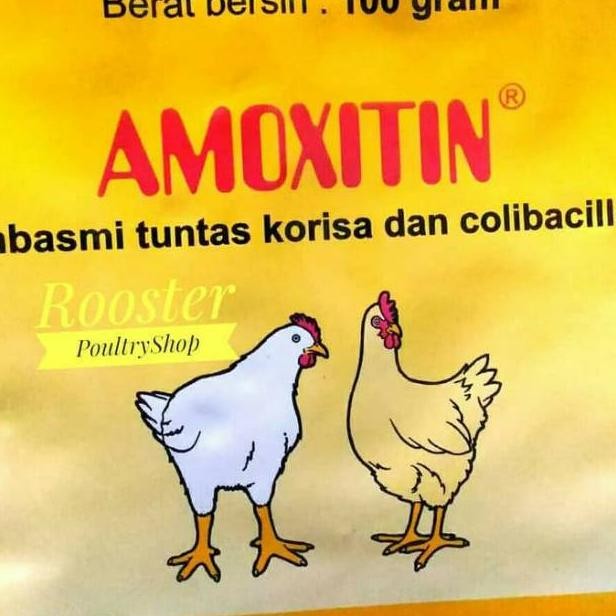 NEWW AMOXITIN OBAT AYAM PILEK NGOROK