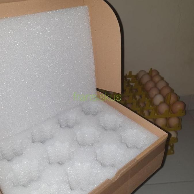 

TELUR FERTIL AYAM KUB TETAS