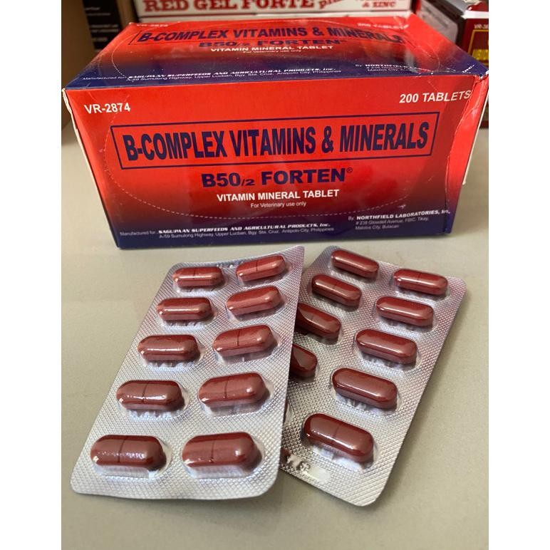 NEWW B50 Forten Vitamin Mineral Ayam | Satu Strip B50 | B50 Satu Papan