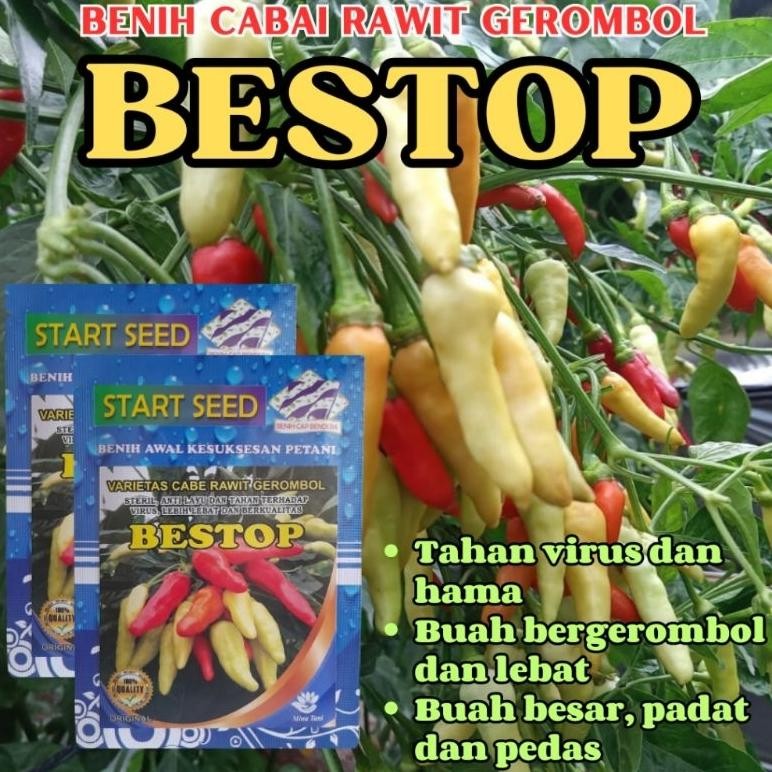 Bibit Cabe Rawit Unggul BESTOP Bibit Cabe Kaliber Unggul Tahan Virus Benih Cabe Rawit Unggul Bibit C