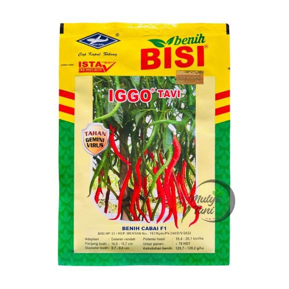 Benih Cabe Keriting Iggo Tavi F1 10gram Original Cap Kapal Terbang Bisi (Exp 02-2026)