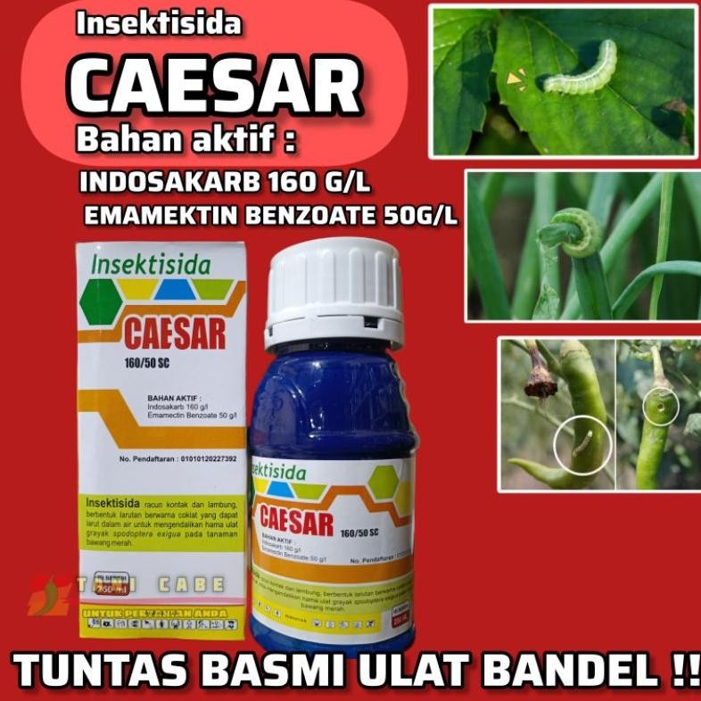 INSEKTISIDA CAESAR 210 SC(INDOSAKARB +EMAMEKTIN)HAMA ULAT BAWANG BANDEL