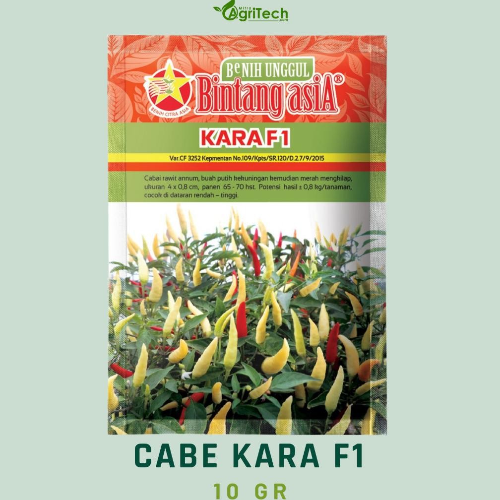 BENIH BIBIT CABE CABAI KARA F1 CABE RAWI HIBRIDA 10 GR BINTANG ASIA