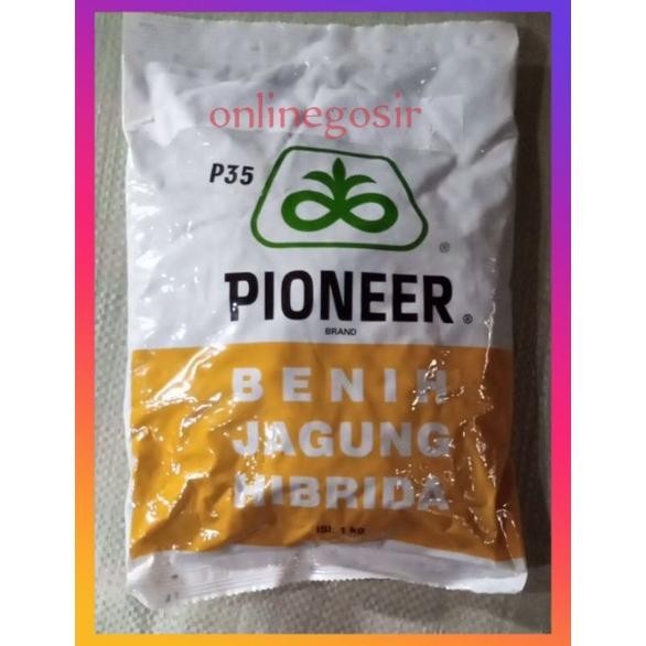 [ PROMO ] 1KG | benih jagung pioneer hibrida P35 1KG
