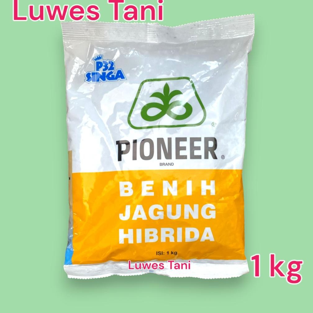 Benih jagung Pioneer P 32 singa 1kg bibit p32 benih jagung