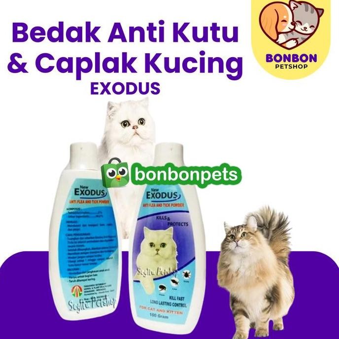 SIAP KIRIM BEDAK EXODUS ANTI JAMUR KUCING & KELINCI OBAT KUTU CAPLAK TUNGAU HERBAL