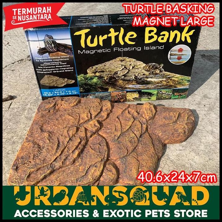 TURTLE BANK EXOTERRA BASKING SPOT KURA AIR RES ALBINO BRAZIL DAMER