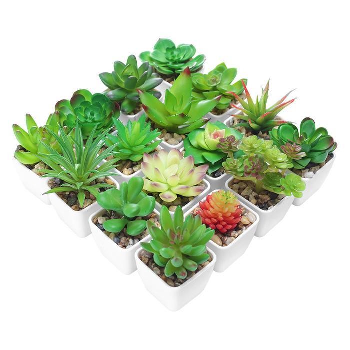 Kaktus Mini / Tanaman Hias / Aneka Macam Kaktus / Tanaman Plastik Hiasan