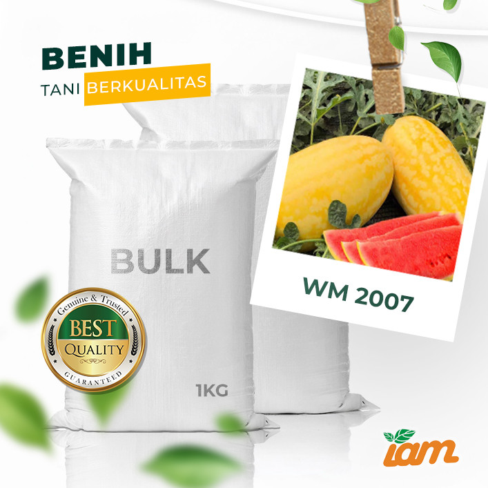 

BULK 1kg – semangka F1 (WM 2007)