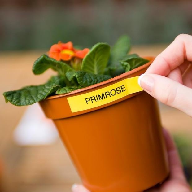 

Brother Tze-631 12Mm Ptouch Tape Label Tze631 Yellow Cartridge Pita New Stok