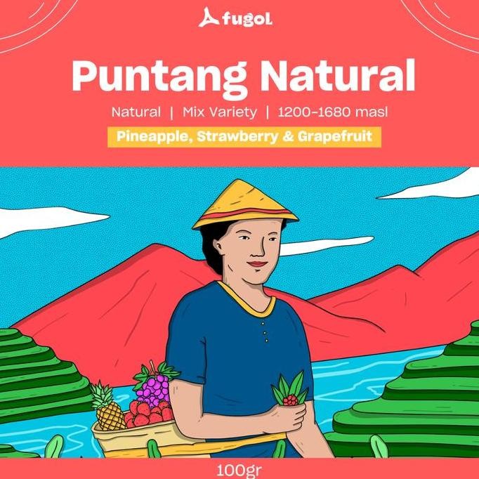 

READY BIJI KOPI ARABIKA PUNTANG NATURAL 100GR - SPECIALTY COFFEE BEANS INDONESIA