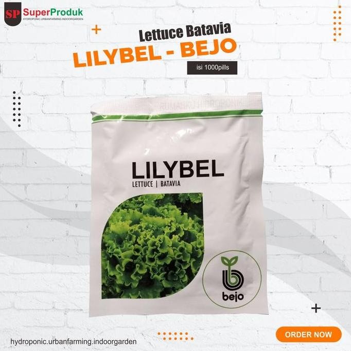 Benih Selada Batavia Bejo Lilybel Isi 1000Pills
